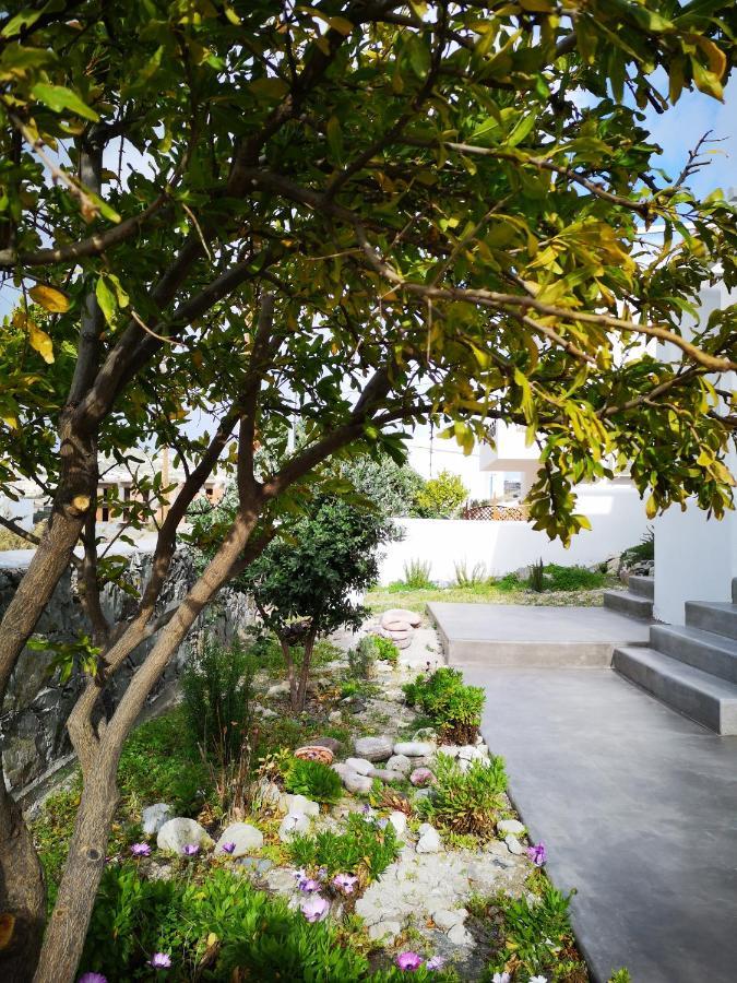 Summer Villa Adamantas Exterior photo